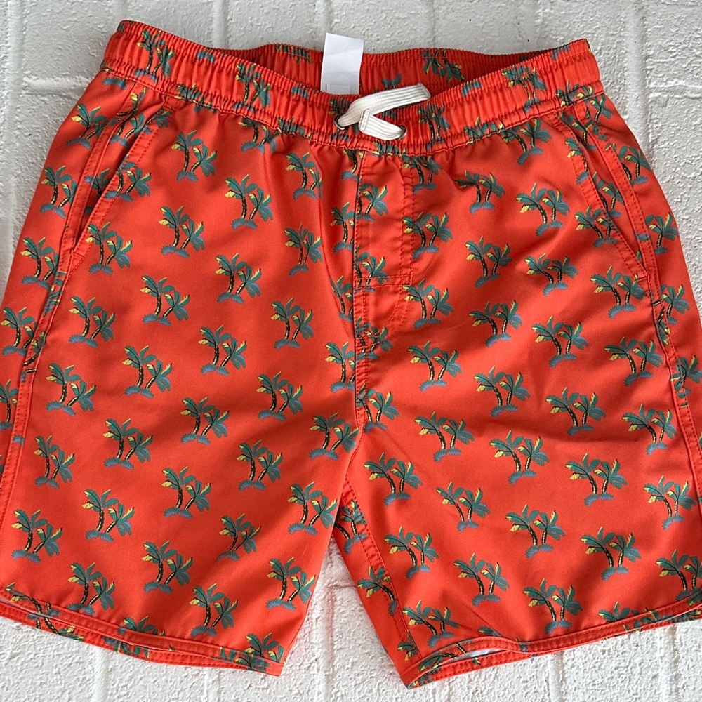 Fair harbor boys large swim trunks